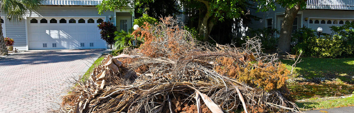Hurricane Debris on curb