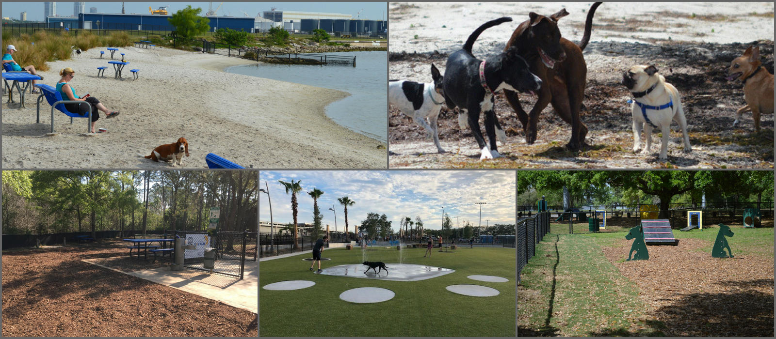 Barks & Recreation | City of Tampa