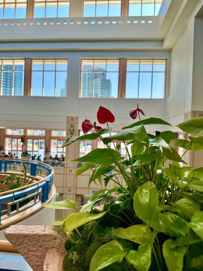 Plants inside Tampa Convention Center