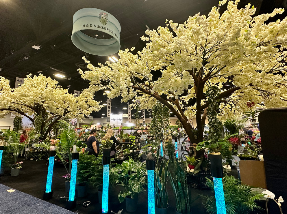 Tree display in Tampa Convention Center