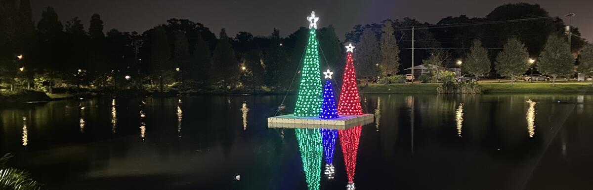 Lighted Trees on Cole&#039;s Pond