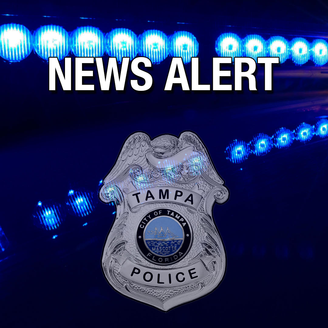 Tampa Police Work To Identify Commercial Burglary Suspect | City Of Tampa