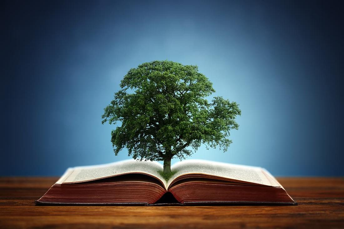 Tree growing from a book