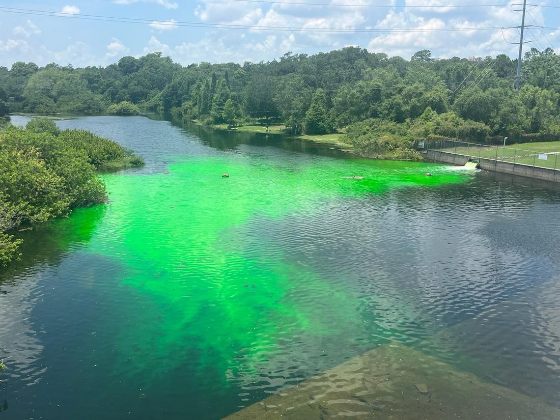 Photo of Hillsborough River during first dye tracer testing at Curiosity Sink