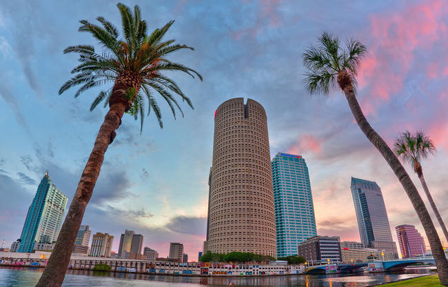 Sykes tower with palm trees in foreground