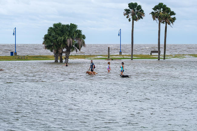 Flooded street on gulf shore