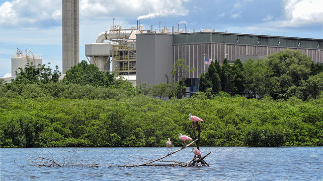 McKay Bay Waste-To-Energy Facility