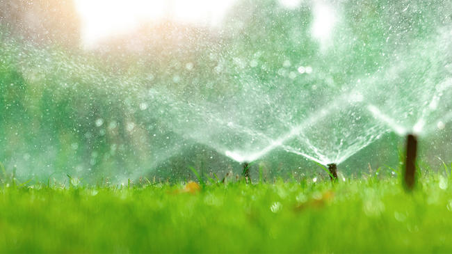 Irrigate lawns and landscaping