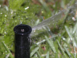 Popup sprinkler head