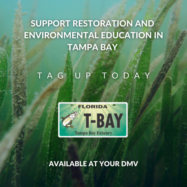 Support Restoration and Environmental Education in Tampa Bay - Tag Up Today