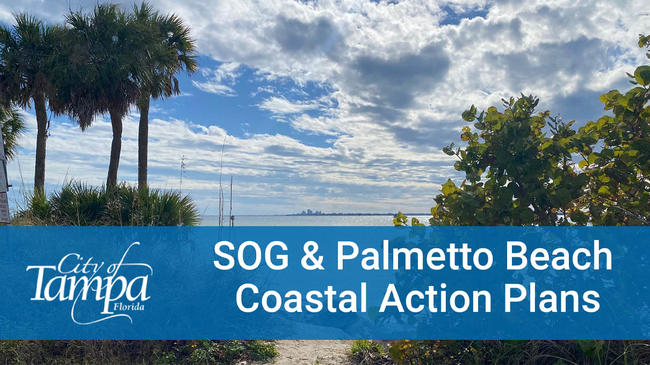 SOG &amp; Palmetto Beach Coastal Area Action Plans