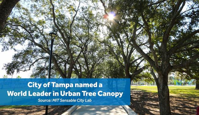 City of Tampa named a World Leader in Urban Tree Canopy Source: MIT Sensable City Lab