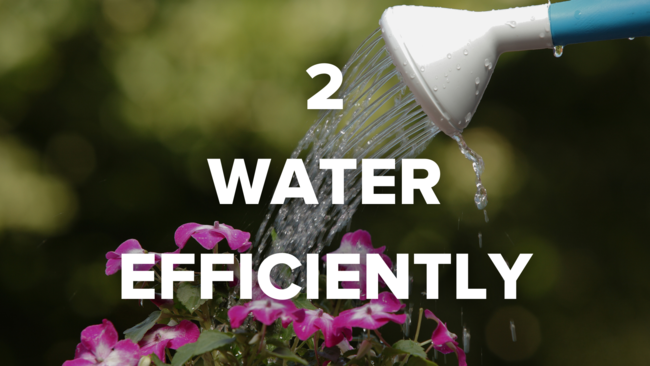 2 water efficiently