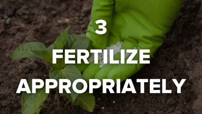 3 fertilize appropriately