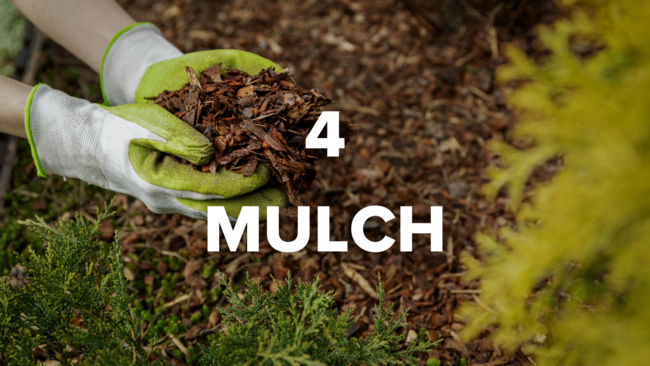 4 mulch