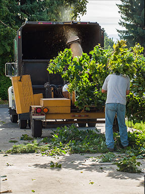 Debris Removal